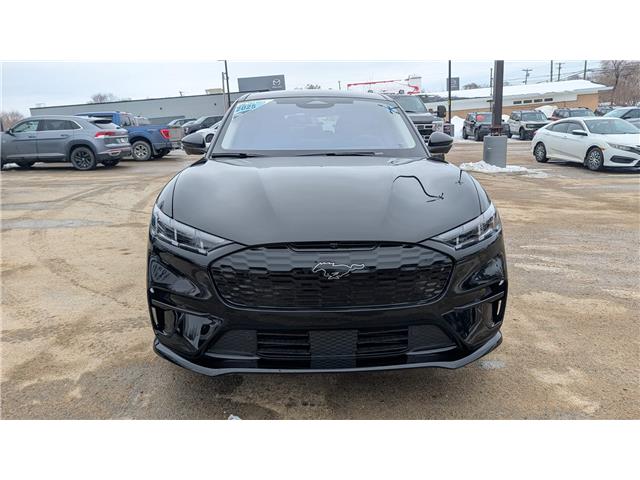 2025 Ford Mustang Mach-E Premium (Stk: MU512) in Miramichi - Image 8 of 14