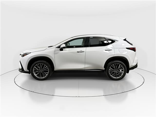 2026 Lexus NX 350  (Stk: 14111816) in Markham - Image 4 of 17