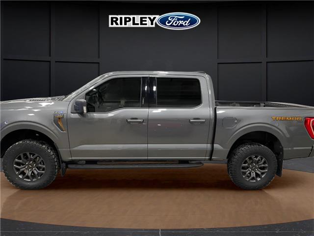 2023 Ford F-150 Tremor (Stk: 25026B) in Melfort - Image 10 of 19