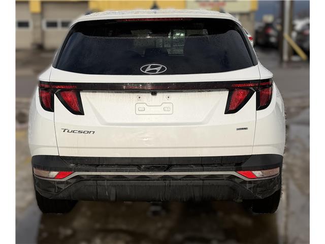 2022 Hyundai Tucson  (Stk: 251447A) in Ottawa - Image 5 of 44