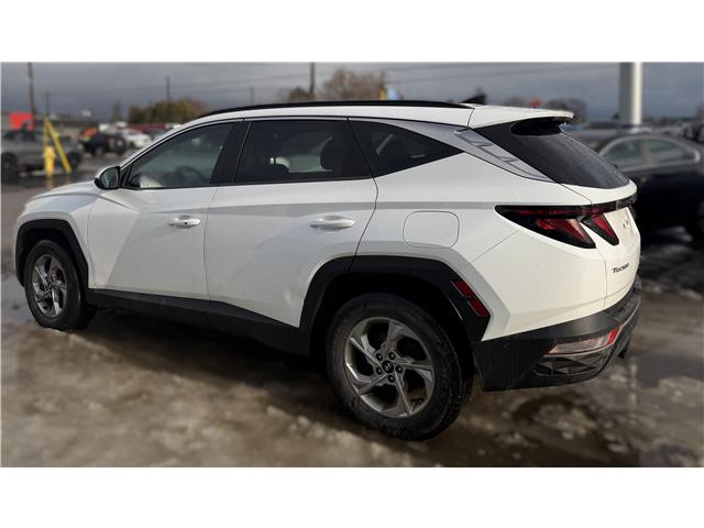 2022 Hyundai Tucson  (Stk: 251447A) in Ottawa - Image 6 of 44