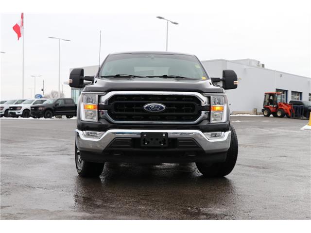 2021 Ford F-150 (Stk: DU8251T) in Ottawa - Image 2 of 20 2021 Ford F-150 (Stk: DU8251T) in Ottawa - Image 2 of 20