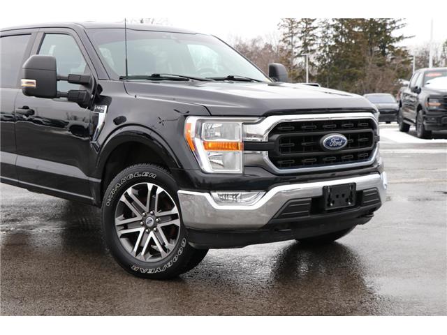 2021 Ford F-150 (Stk: DU8251T) in Ottawa - Image 3 of 20 2021 Ford F-150 (Stk: DU8251T) in Ottawa - Image 3 of 20
