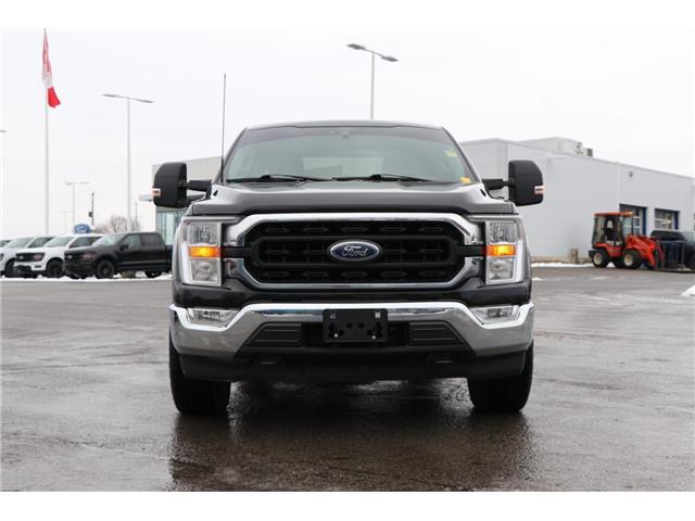 2021 Ford F-150 (Stk: DU8251T) in Ottawa - Image 4 of 20 2021 Ford F-150 (Stk: DU8251T) in Ottawa - Image 4 of 20