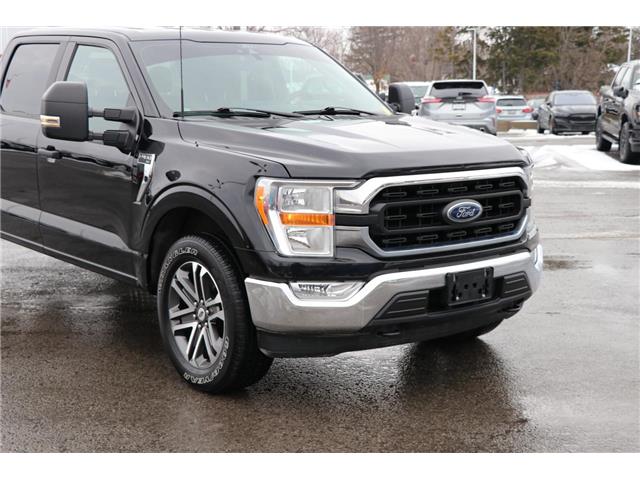 2021 Ford F-150 (Stk: DU8251T) in Ottawa - Image 5 of 20 2021 Ford F-150 (Stk: DU8251T) in Ottawa - Image 5 of 20
