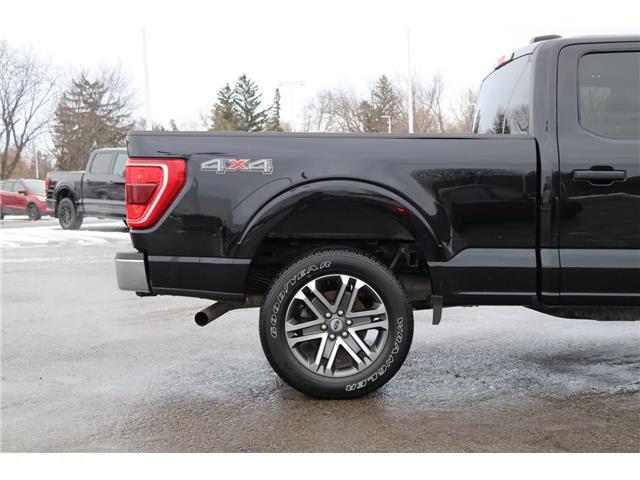 2021 Ford F-150 (Stk: DU8251T) in Ottawa - Image 7 of 20 2021 Ford F-150 (Stk: DU8251T) in Ottawa - Image 7 of 20