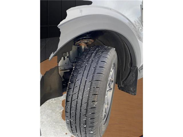 2023 Ford Bronco Sport Big Bend (Stk: P25048) in Melfort - Image 12 of 12