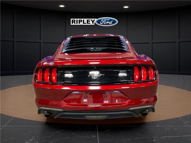 2019 Ford Mustang EcoBoost (Stk: 25103B) in Melfort - Image 6 of 14