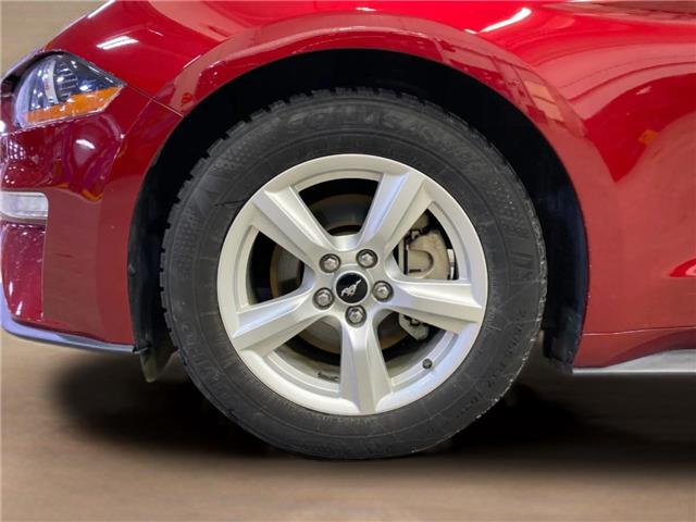 2019 Ford Mustang EcoBoost (Stk: 25103B) in Melfort - Image 9 of 14