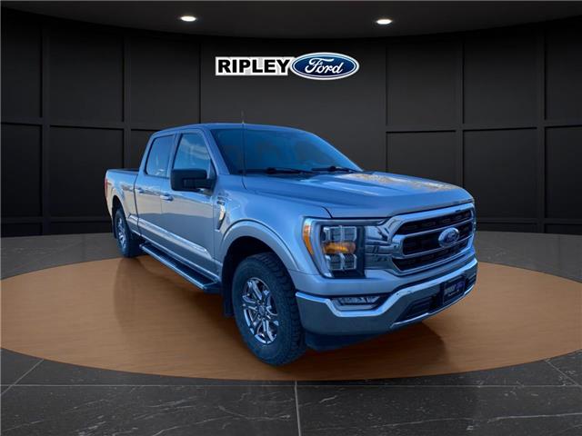 2023 Ford F-150 XLT (Stk: 25351A) in Melfort - Image 3 of 17