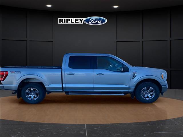 2023 Ford F-150 XLT (Stk: 25351A) in Melfort - Image 4 of 17