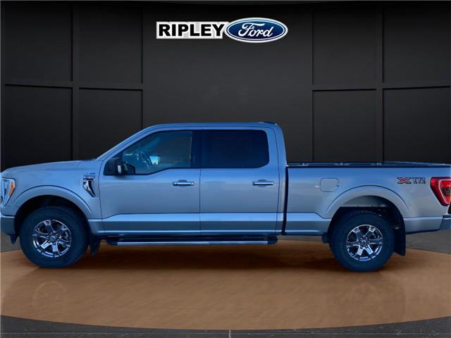 2023 Ford F-150 XLT (Stk: 25351A) in Melfort - Image 8 of 17