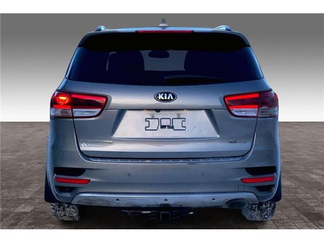 2016 Kia Sorento 3.3L SX (Stk: TSP77591) in Sherwood Park - Image 3 of 11