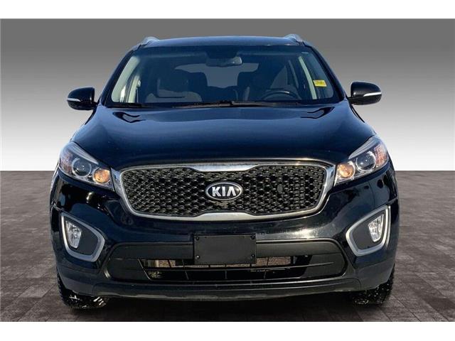 2017 Kia Sorento 3.3L LX V6 7-Seater (Stk: TSP53042) in Sherwood Park - Image 3 of 25