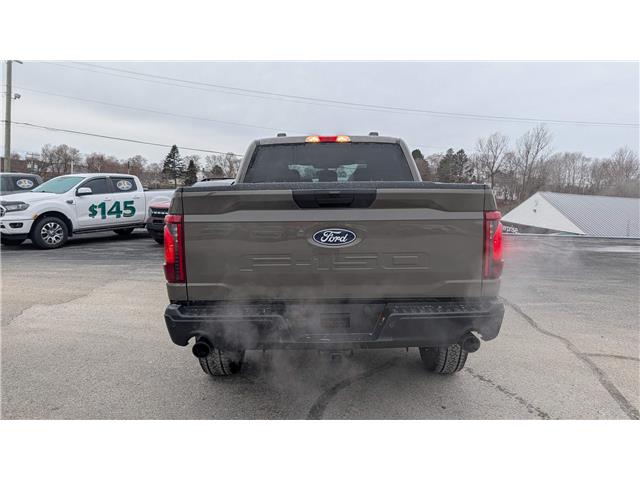 2025 Ford F-150 STX (Stk: F1384) in Miramichi - Image 4 of 13