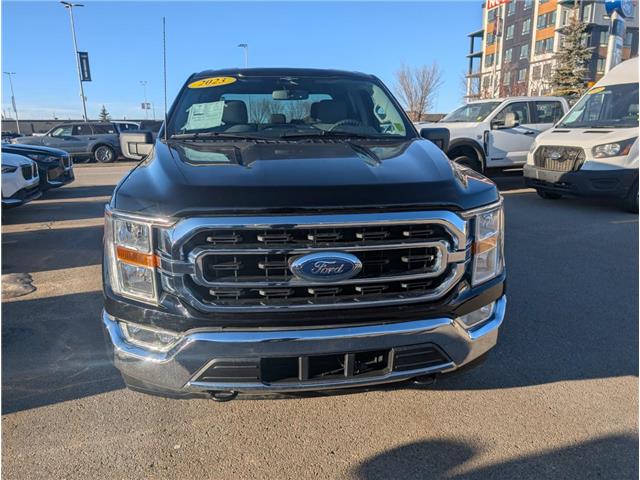 2023 Ford F-150 XLT (Stk: S-1840A) in Calgary - Image 8 of 24