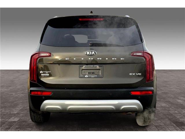 2021 Kia Telluride EX (Stk: 25B06061) in Sherwood Park - Image 4 of 30