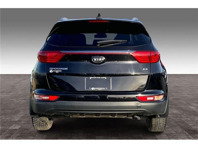 2017 Kia Sportage EX Tech (Stk: 17B6575) in Sherwood Park - Image 4 of 30 2017 Kia Sportage EX Tech (Stk: 17B6575) in Sherwood Park - Image 4 of 30