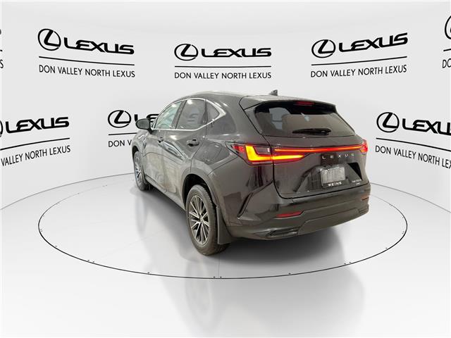 2023 Lexus NX 350h  (Stk: 14U7178) in Markham - Image 7 of 28