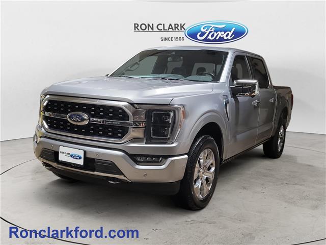 2022 Ford F-150 Platinum (Stk: 17040-1) in Wyoming - Image 3 of 15