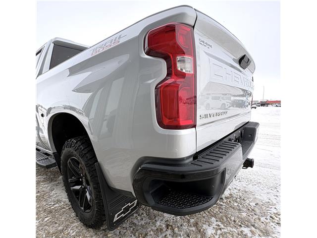 2019 Chevrolet Silverado 1500 LT Trail Boss (Stk: U989) in Melfort - Image 6 of 14