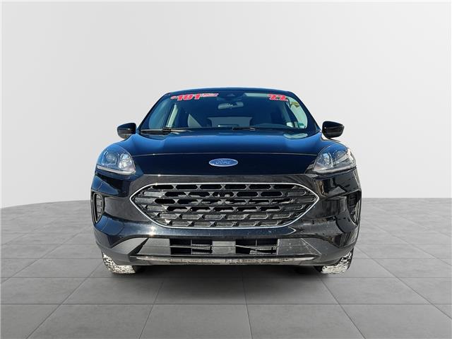 2022 Ford Escape SE (Stk: 254316C) in Fredericton - Image 2 of 19