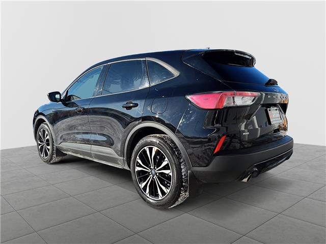 2022 Ford Escape SE (Stk: 254316C) in Fredericton - Image 4 of 19