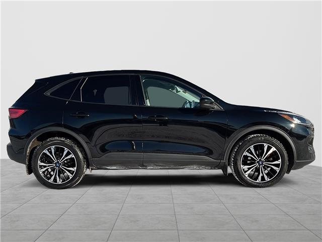 2022 Ford Escape SE (Stk: 254316C) in Fredericton - Image 6 of 19