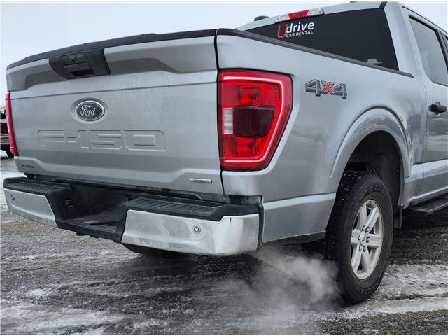 2023 Ford F-150 XLT (Stk: JUD007) in Brandon - Image 6 of 21