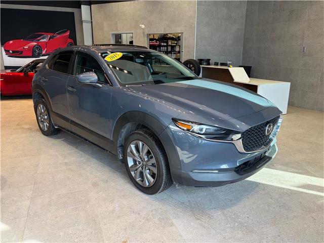 2020 Mazda CX-30 GS (Stk: C3075A) in Miramichi - Image 5 of 8