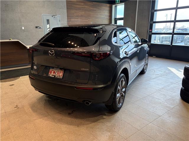 2020 Mazda CX-30 GS (Stk: C3075A) in Miramichi - Image 6 of 8