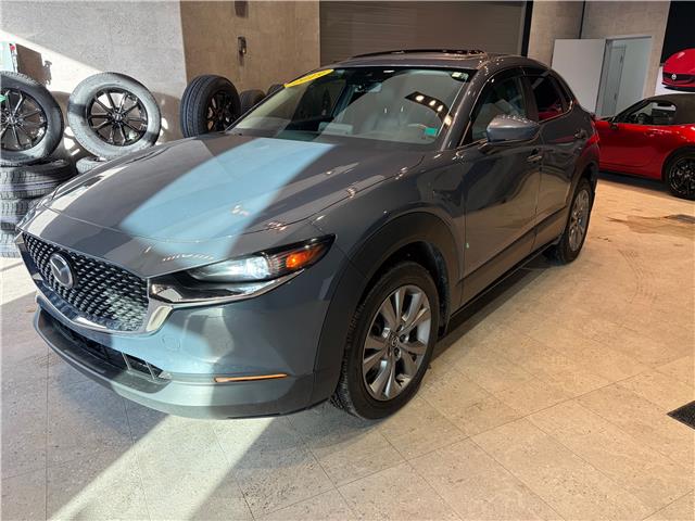 2020 Mazda CX-30 GS (Stk: C3075A) in Miramichi - Image 8 of 8