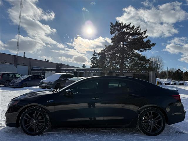 2020 Acura TLX Elite A-Spec (Stk: 45559A) in Newmarket - Image 16 of 50