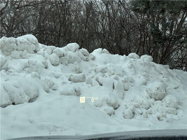 2022 BMW 530i xDrive (Stk: 16112) in Newmarket - Image 29 of 50