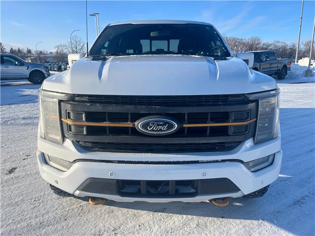 2022 Ford F-150 Tremor (Stk: U35771) in Hague - Image 3 of 13