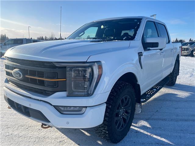 2022 Ford F-150 Tremor (Stk: U35771) in Hague - Image 4 of 13