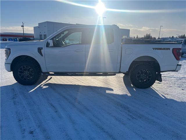 2022 Ford F-150 Tremor (Stk: U35771) in Hague - Image 5 of 13