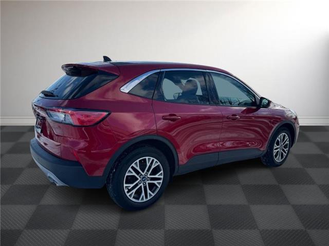 2022 Ford Escape SEL (Stk: TR77469) in Windsor - Image 6 of 26