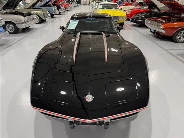 1978 Chevrolet Corvette Indy Pace Care Tribute  (Stk: 400406) in Watford - Image 6 of 46