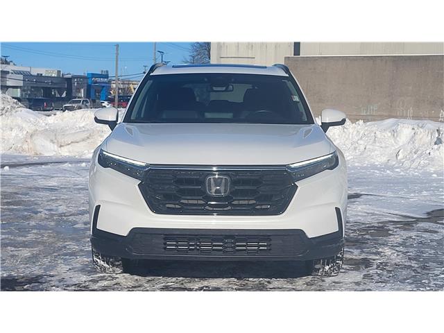 2023 Honda CR-V Sport (Stk: TL8422) in Saint John - Image 10 of 13