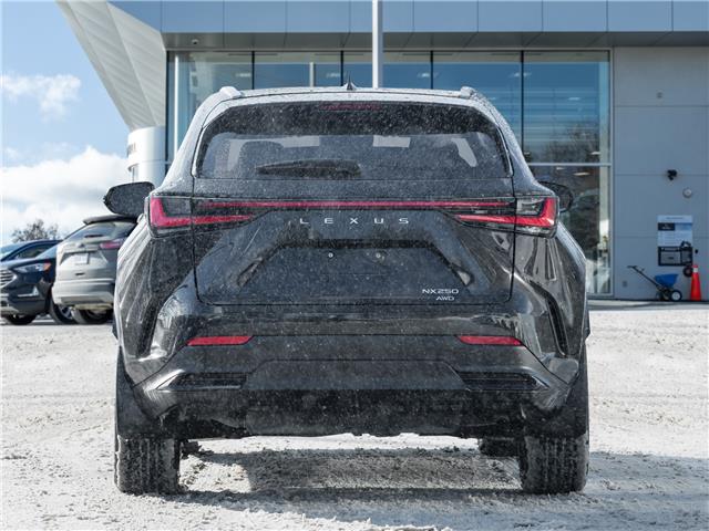 2025 Lexus NX 250  (Stk: 15T1757A) in Richmond Hill - Image 7 of 27