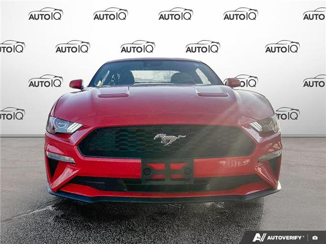 2021 Ford Mustang EcoBoost (Stk: P7325X) in Oakville - Image 2 of 23