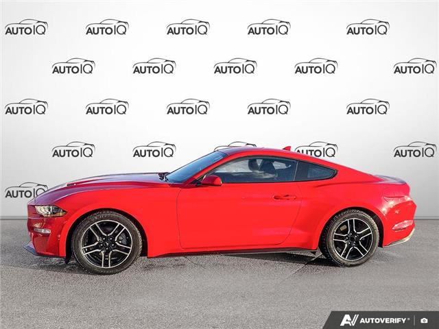 2021 Ford Mustang EcoBoost (Stk: P7325X) in Oakville - Image 3 of 23