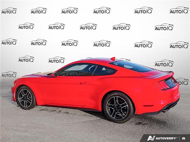 2021 Ford Mustang EcoBoost (Stk: P7325X) in Oakville - Image 4 of 23