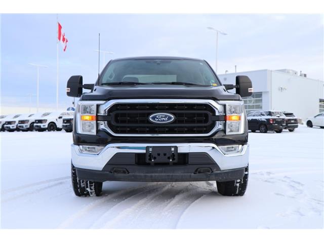 2021 Ford F-150 (Stk: DU8252T) in Ottawa - Image 2 of 18 2021 Ford F-150 (Stk: DU8252T) in Ottawa - Image 2 of 18