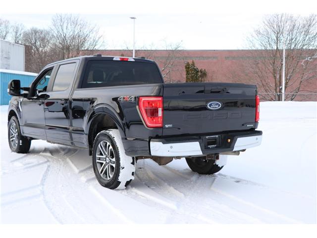 2021 Ford F-150 (Stk: DU8252T) in Ottawa - Image 7 of 18 2021 Ford F-150 (Stk: DU8252T) in Ottawa - Image 7 of 18