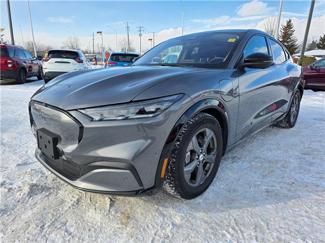 2021 Ford Mustang Mach-E Premium in Kemptville - Image 3 of 17