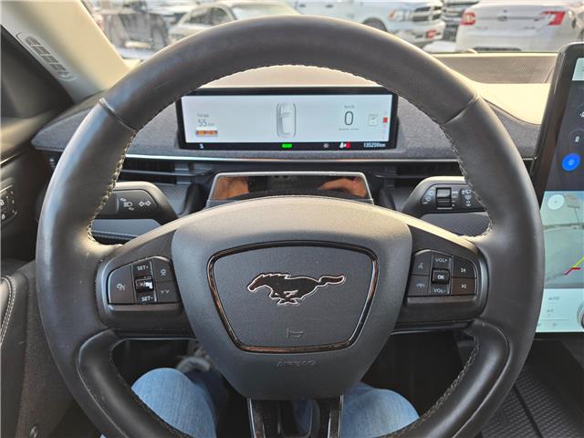 2021 Ford Mustang Mach-E Premium in Kemptville - Image 8 of 17