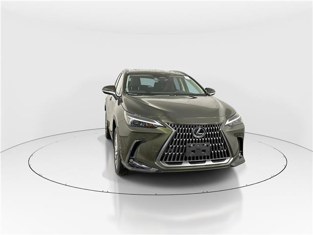 2026 Lexus NX 350  (Stk: 14111943) in Markham - Image 2 of 18