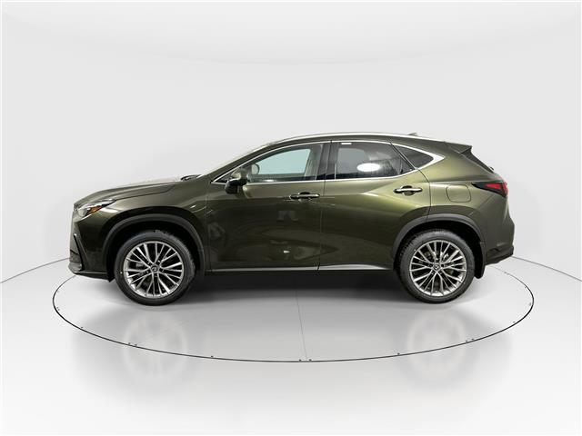 2026 Lexus NX 350  (Stk: 14111943) in Markham - Image 4 of 18